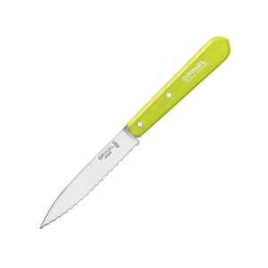 Ніж кухонний Opinel №113 Serrated салатовий (001920)